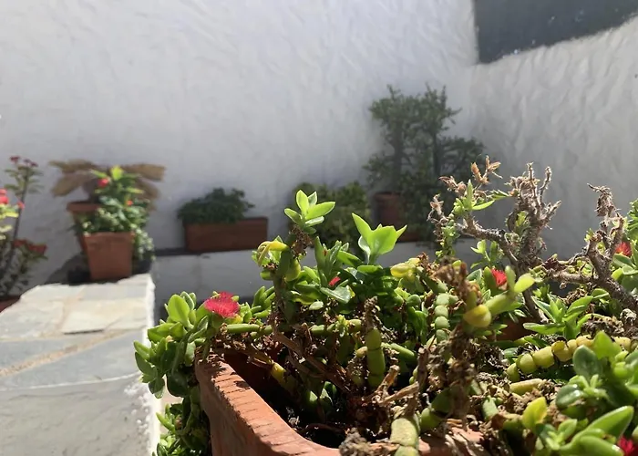 Perez Villa Granadilla de Abona